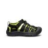 Big Kids' Newport H2  |  Black/Lime Green