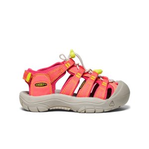 Little Kids' Newport Boundless Sandal  |  Dubarry/Evening Primrose